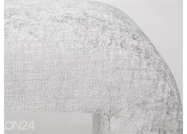 Penkki Leith kuvasuurennos