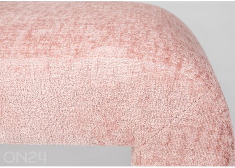 Penkki Leith kuvasuurennos