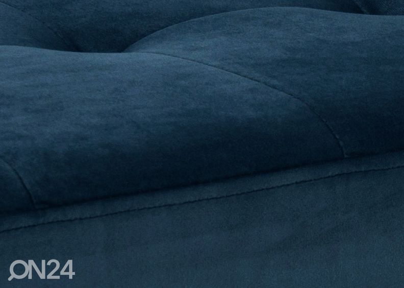 Penkki / rahi Lynn kuvasuurennos