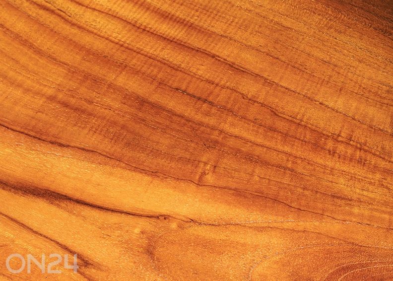 Penkki Root kuvasuurennos