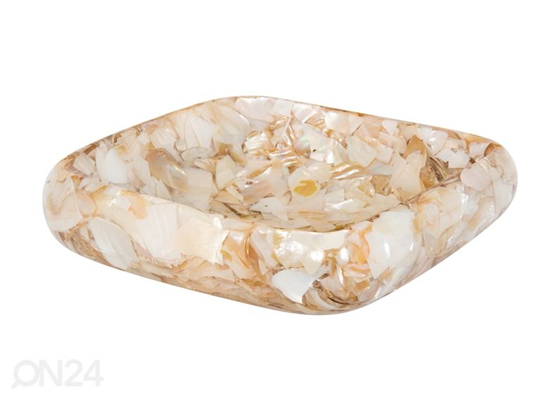 Pesuallas simpukankuorilla kuvasuurennos