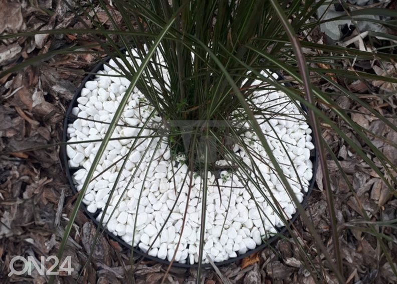 Pientareen reuna/nurmikon reunus 4 cm 10 m + 20 kiinnitysnaulaa kuvasuurennos