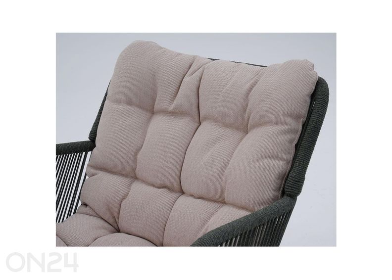 Pihakeinu Tuxedo kuvasuurennos