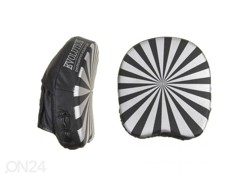 Pistehanskat Evolution kuvasuurennos