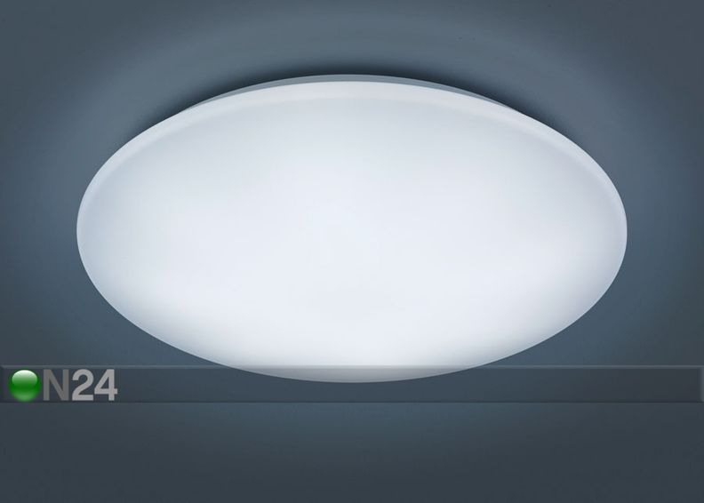 Plafondi Kato kuvasuurennos