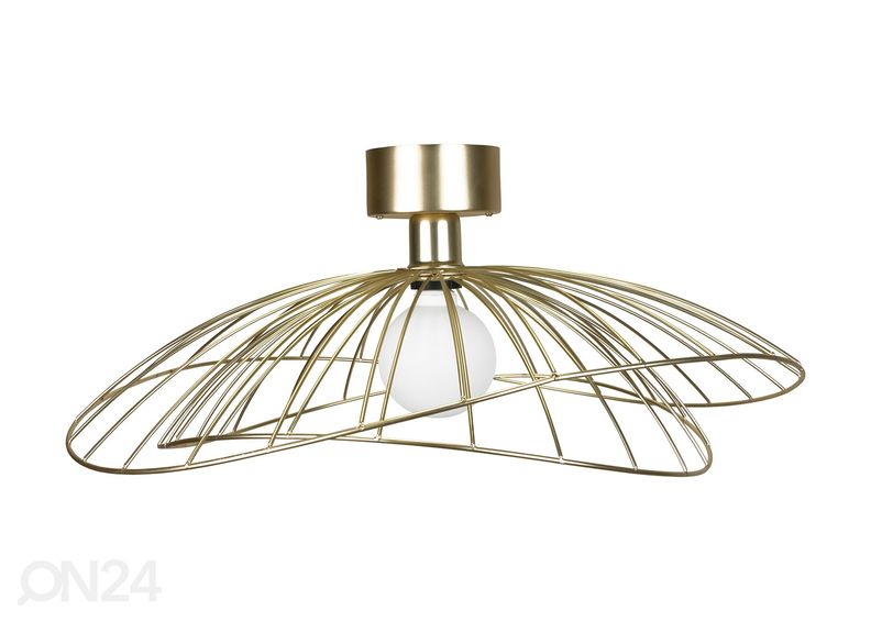 Plafondi Ray, messinki kuvasuurennos