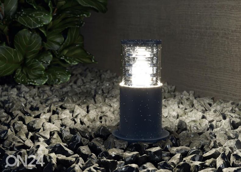 Pollarivalaisin Bronx kuvasuurennos