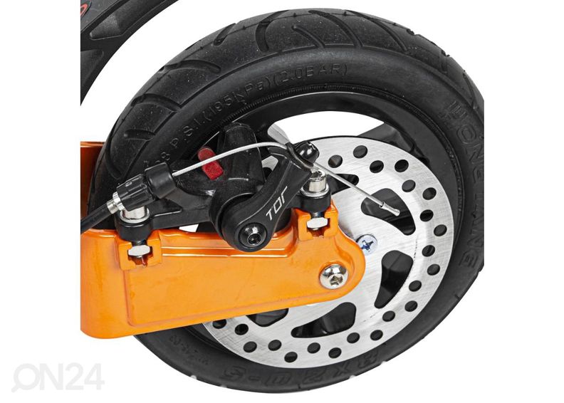 Potkulauta Mascarpo inSPORTline kuvasuurennos