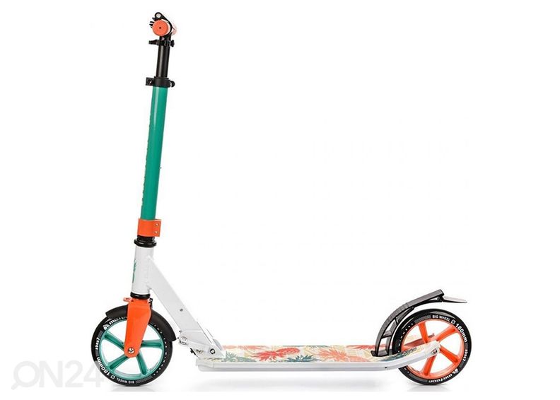 POtkulauta Meteor Holiday Hawaii kuvasuurennos