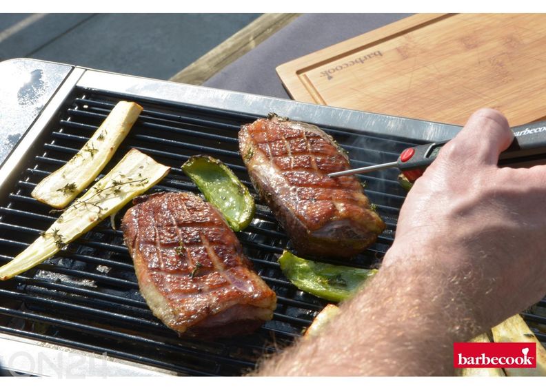 Pöytähiiligrilli Barbecook Karl kuvasuurennos