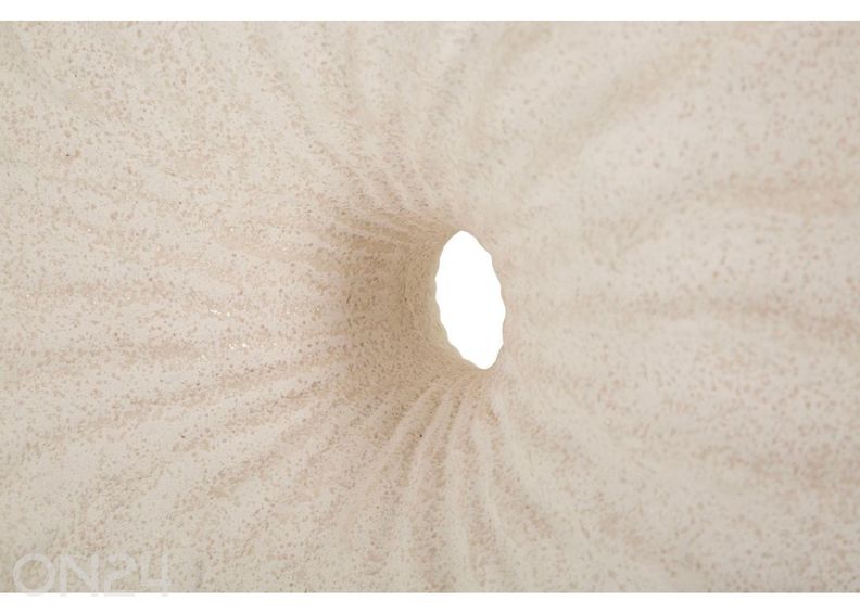Pöytävalaisin Anemone 32x24,5x49 cm kuvasuurennos