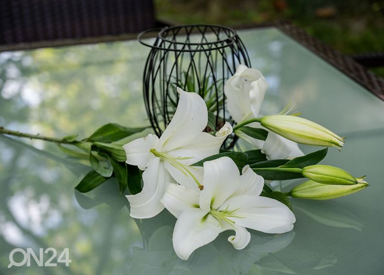 Puutarhapöytä 90x150 cm kuvasuurennos