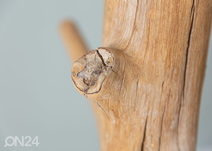 Pystynaulakko Tree kuvasuurennos