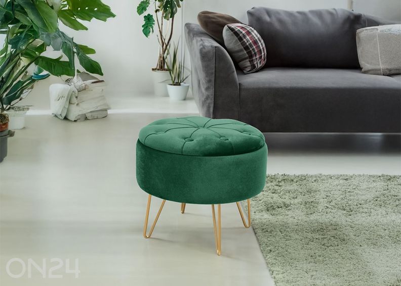 Rahi Caro kuvasuurennos