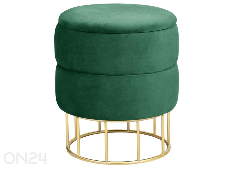 Rahi Elza kuvasuurennos