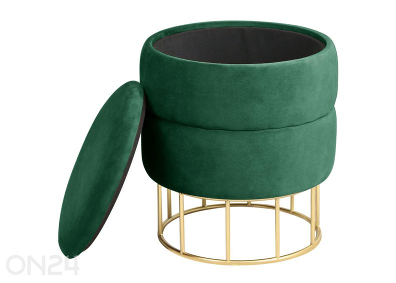 Rahi Elza kuvasuurennos