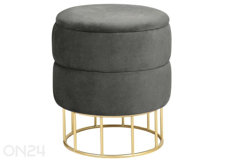 Rahi Elza kuvasuurennos