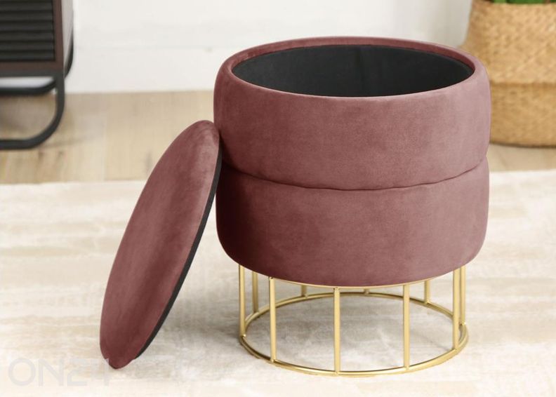 Rahi Elza kuvasuurennos