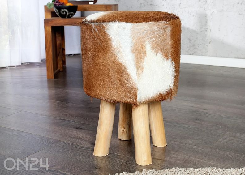 Rahi Hide kuvasuurennos