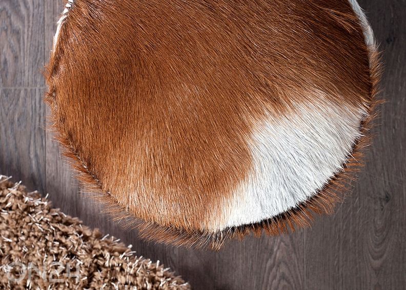 Rahi Hide kuvasuurennos