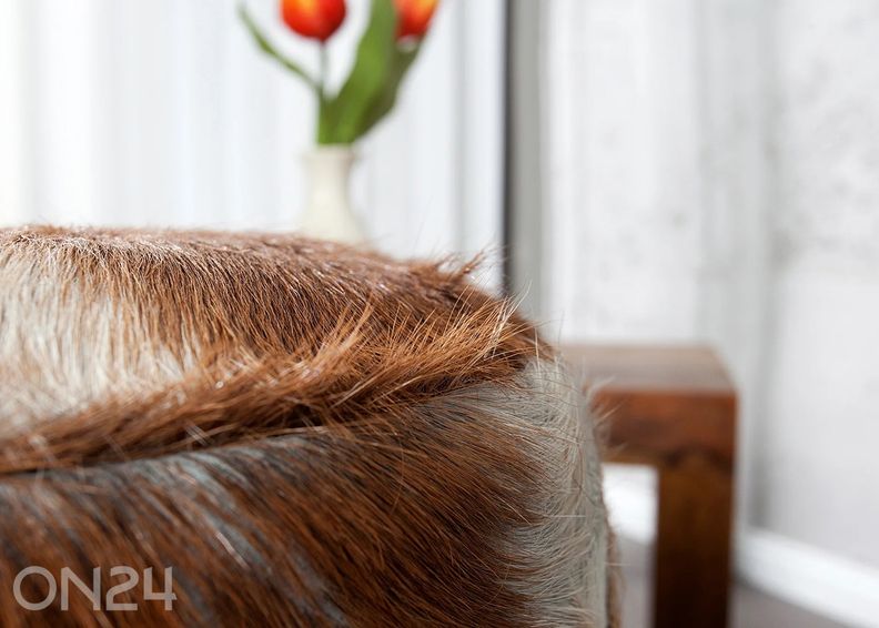 Rahi Hide kuvasuurennos