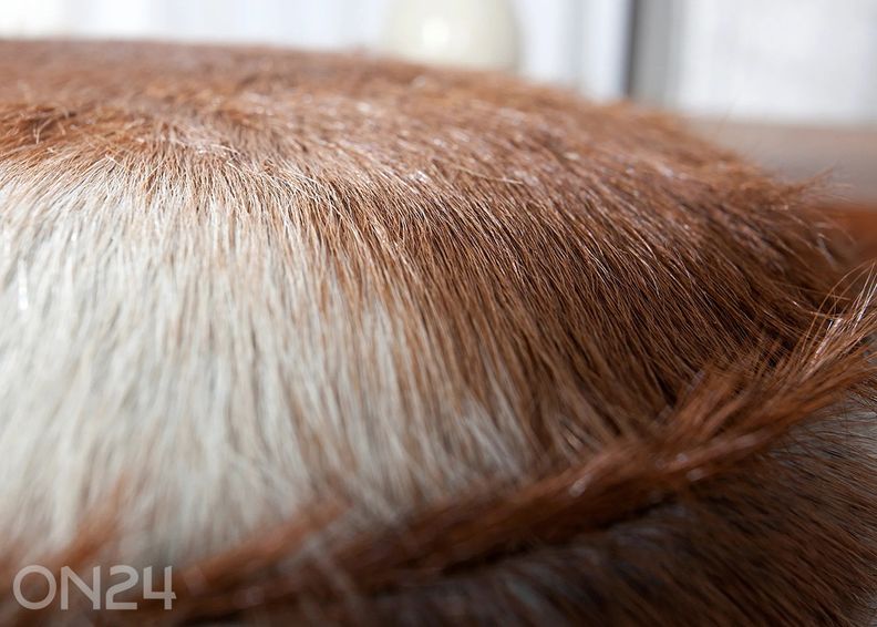 Rahi Hide kuvasuurennos