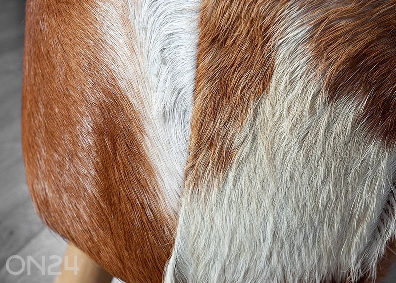 Rahi Hide kuvasuurennos