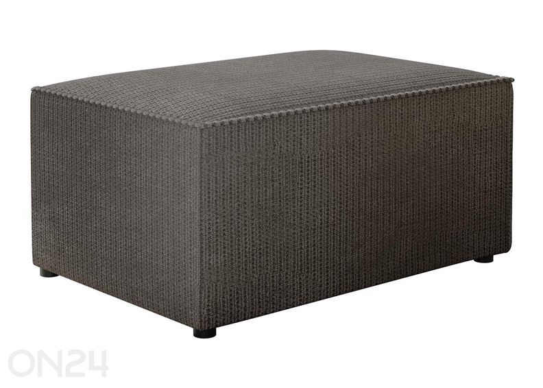 Rahi Karl I 45x60 cm kuvasuurennos