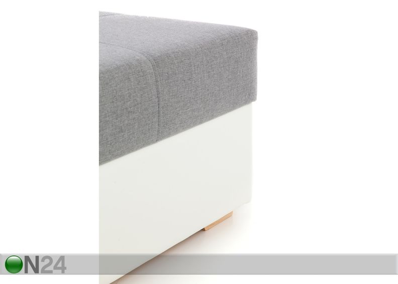 Rahi RIO kuvasuurennos