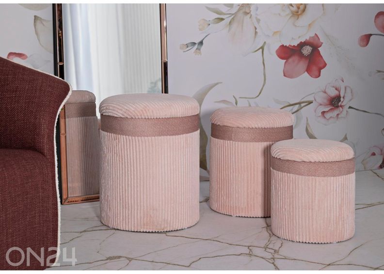 Rahi säilytystilalla 2 kpl kuvasuurennos