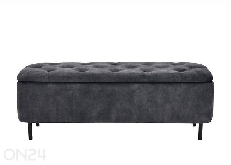 Rahi säilytystilalla En Vogue kuvasuurennos
