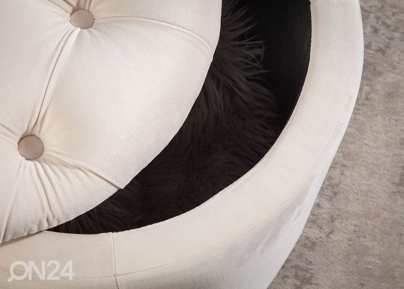 Rahi säilytystilalla Modern Baroque kuvasuurennos