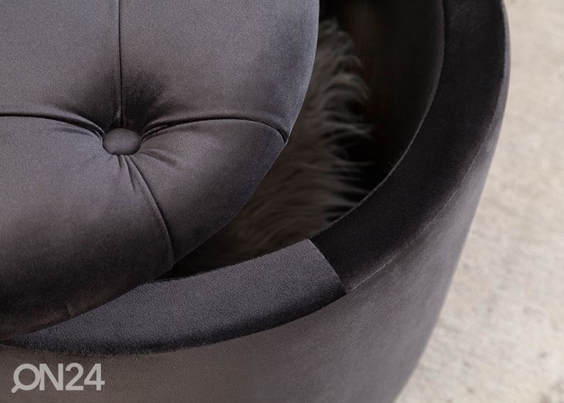 Rahi säilytystilalla Modern Baroque kuvasuurennos