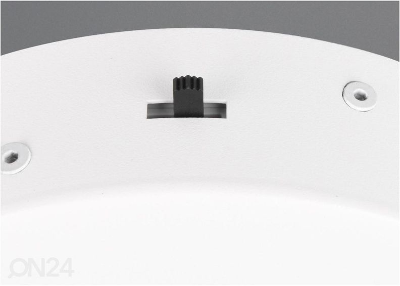 Riippuvalaisin Darvin kuvasuurennos