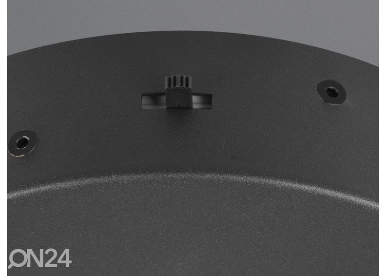 Riippuvalaisin Darvin kuvasuurennos