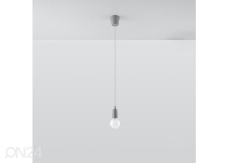 Riippuvalaisin Diego 1 kuvasuurennos