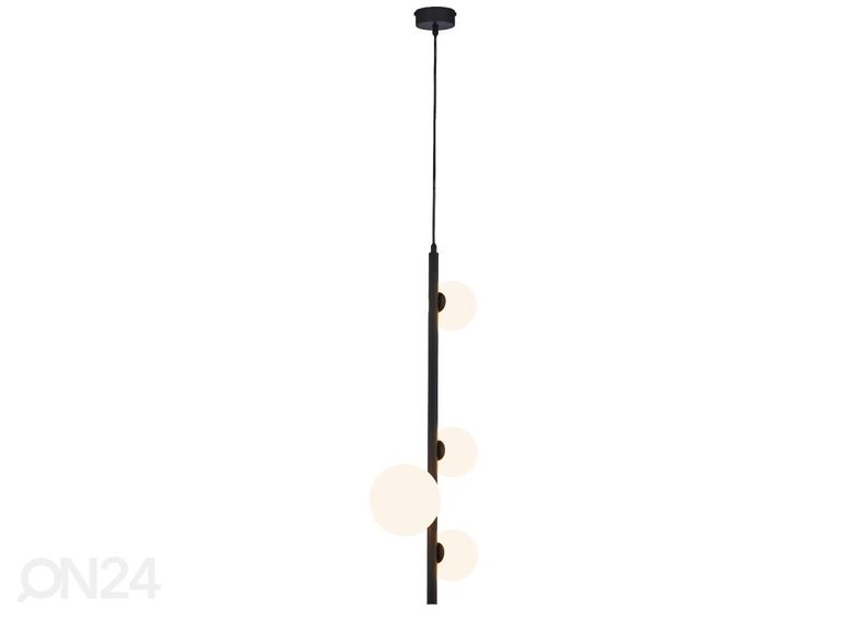 Riippuvalaisin Taida 4 kuvasuurennos