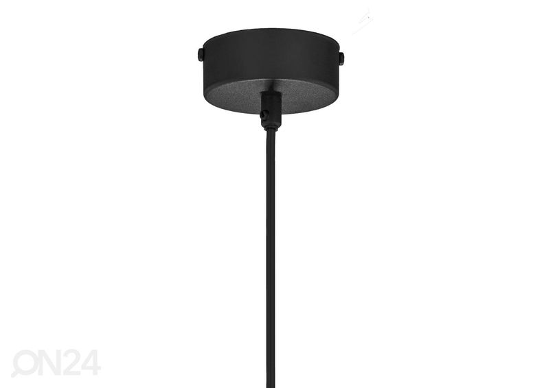 Riippuvalaisin Taida 4 kuvasuurennos