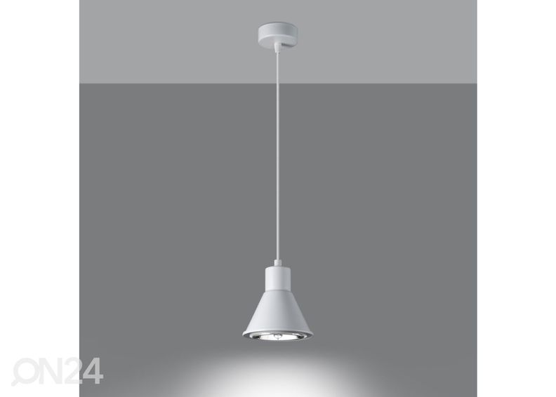 Riippuvalaisin Taleja 1, valkoinen kuvasuurennos