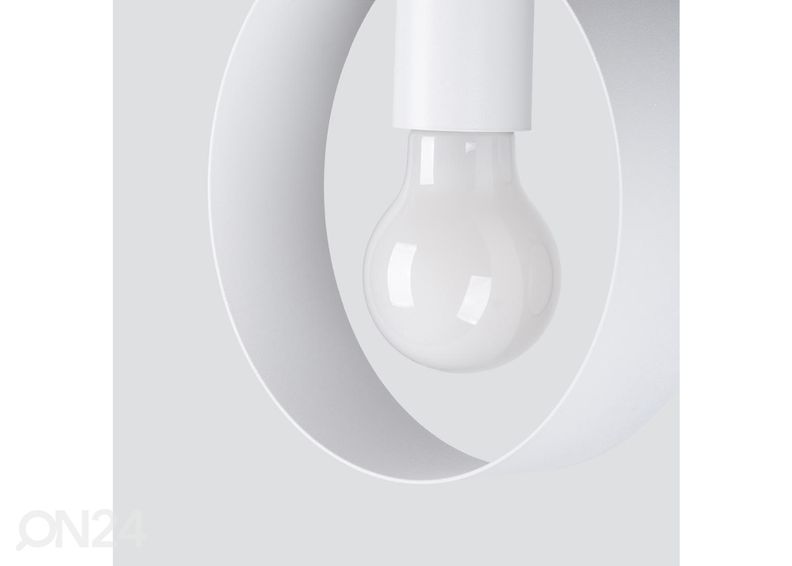 Riippuvalaisin Titran 1, valkoinen kuvasuurennos