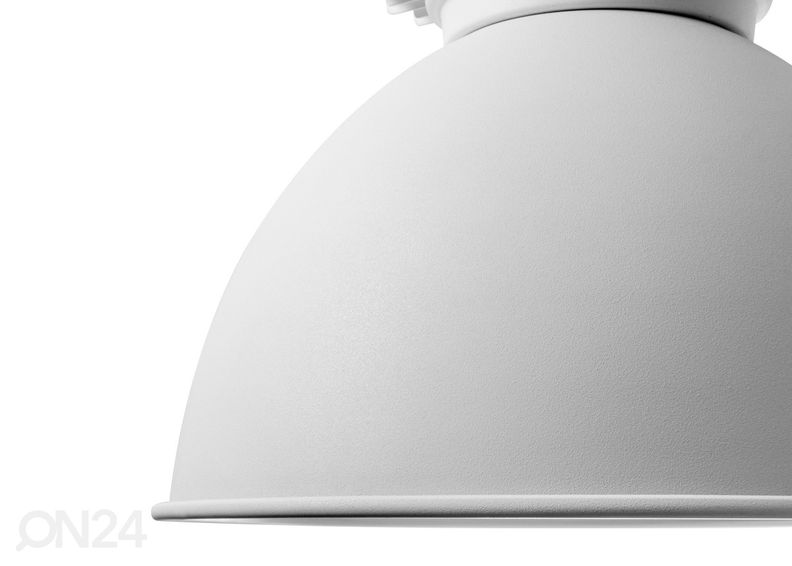 Riippuvalaisin Wanted kuvasuurennos