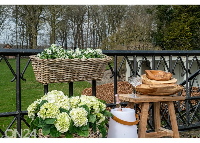 Ripustettava kukkalaatikko Lào Cai kuvasuurennos