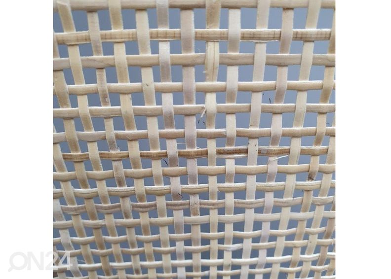 Rottinki sermi Albert kuvasuurennos