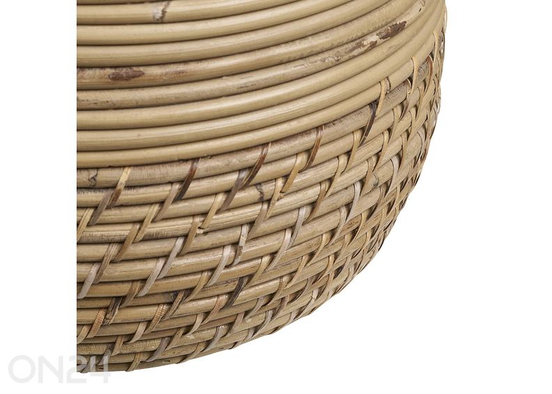 Rottinkikorit Moro kuvasuurennos