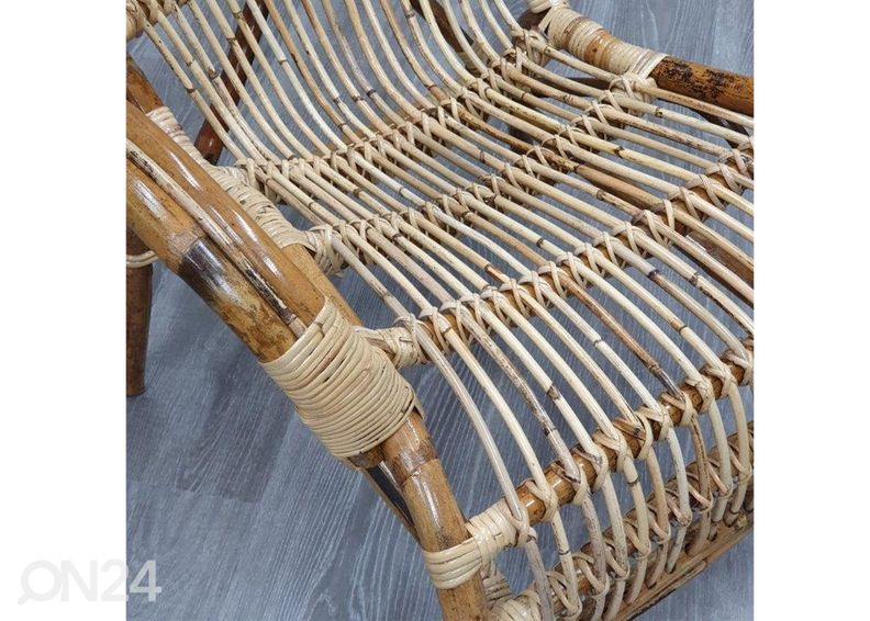 Rottinkituoli Bahama kuvasuurennos