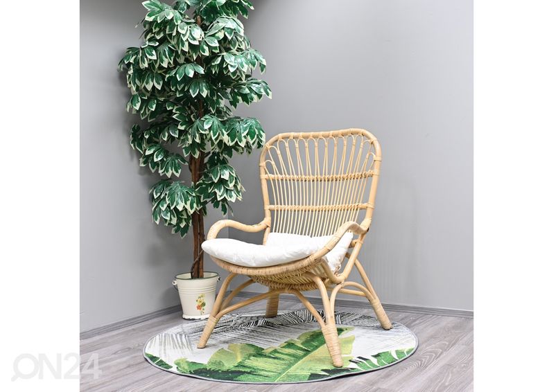 Rottinkituoli Labuan kuvasuurennos