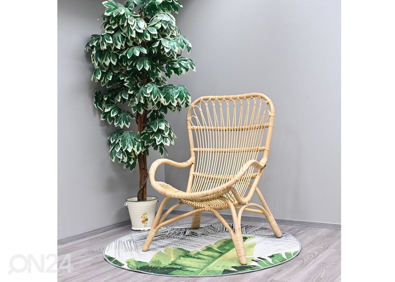 Rottinkituoli Labuan kuvasuurennos