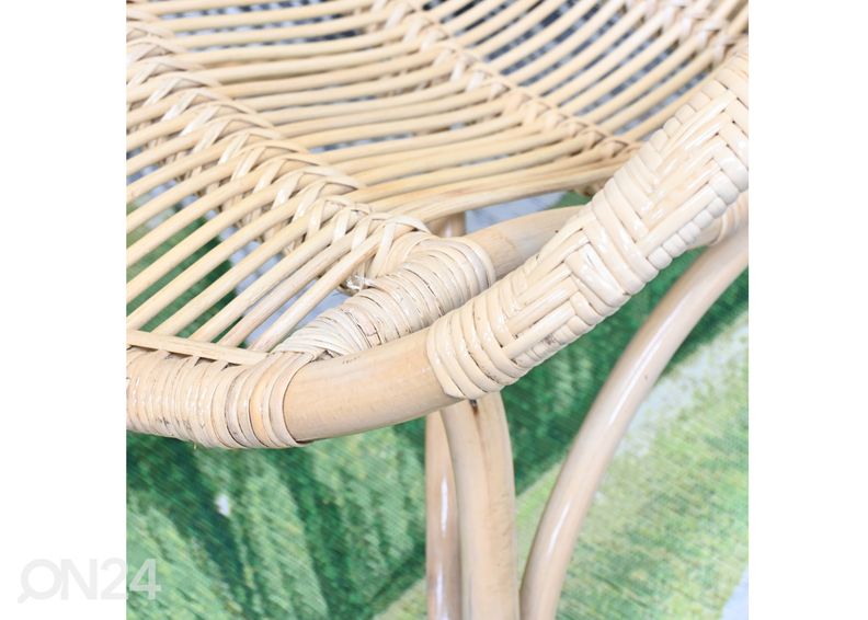 Rottinkituoli Labuan kuvasuurennos