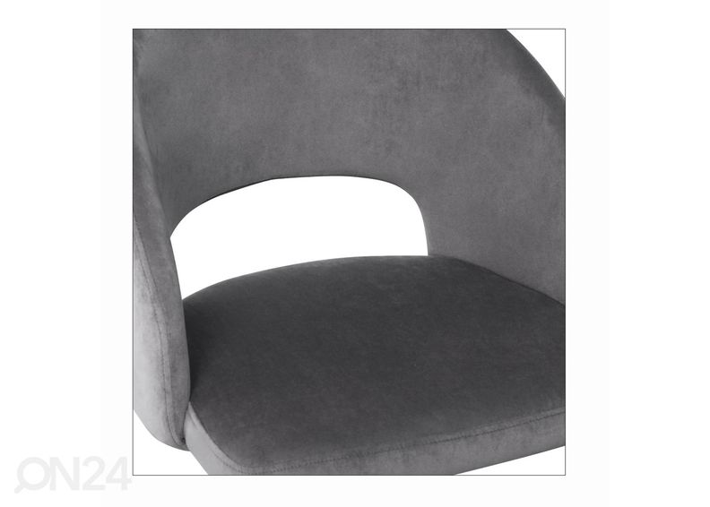 Ruokatuoli kuvasuurennos