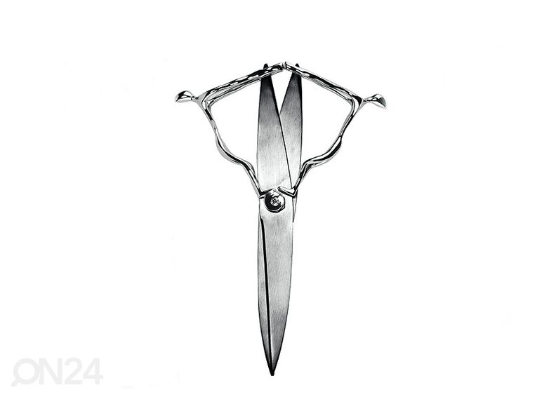 Sakset ID kuvasuurennos